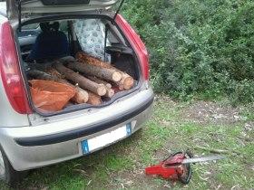 furto legna foto 1