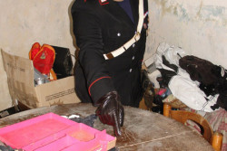 Un arsenale nel giardino di casa: arrestato 29enne di Campi Salentina - Corriere Salentino