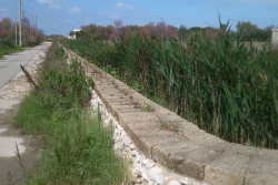 Vertenza Torre Chianca: Messuti interviene personalmente - Corriere Salentino