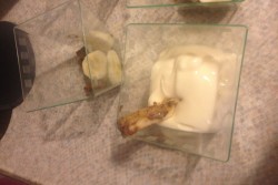 La ricetta del giorno di Pane Amore e…Tanti chili: Primo Amore - Corriere Salentino