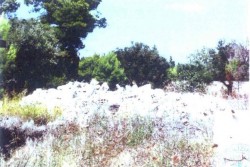 Abusivismo edilizio a Torre Suda, demolita costruzione - Corriere Salentino