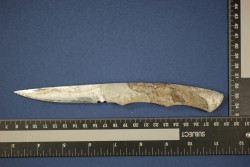 Duplice omicidio di Campi, arrestato il supertestimone - Corriere Salentino