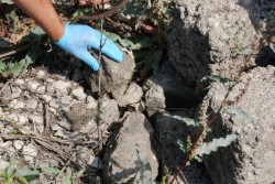 Duplice omicidio di Campi, arrestato il supertestimone - Corriere Salentino