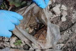 Duplice omicidio di Campi, arrestato il supertestimone - Corriere Salentino