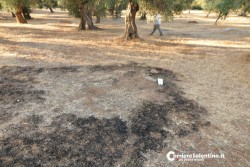 41enne ucciso in campagna: raffica di interrogatori - Corriere Salentino