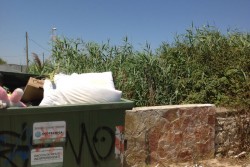 Comitato spontaneo: Torre Chianca? La marina del silenzio e della vergogna - Corriere Salentino