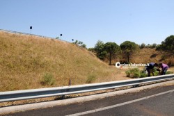 Esce fuori strada, poi il volo di 50 metri: muore il fratello del killer di Renata Fonte - Corriere Salentino