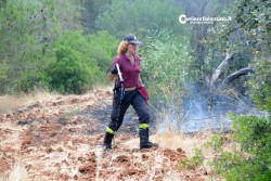 Fiamme sulla Presicce - Lido Marini, divorati dal fuoco macchia e pineta - Corriere Salentino