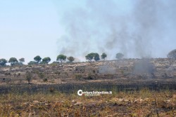 Fiamme sulla Presicce - Lido Marini, divorati dal fuoco macchia e pineta - Corriere Salentino