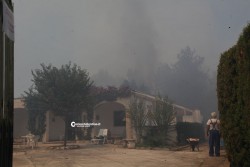 Ore 13, l'Inferno in terra: distrutti ettari di bosco e pineta - Corriere Salentino