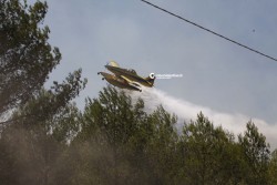 Ore 13, l'Inferno in terra: distrutti ettari di bosco e pineta - Corriere Salentino