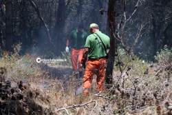 Domato l'incendio nella pineta di fronte alle “Due Sorelle” - Corriere Salentino