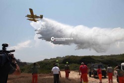 Domato l'incendio nella pineta di fronte alle “Due Sorelle” - Corriere Salentino