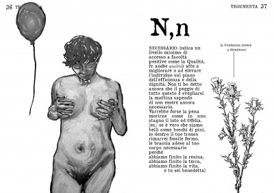 tegumenta di evertrip