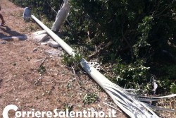 Abbatte un palo, poi si ribalta: uno illeso, l'altro in ospedale - Corriere Salentino
