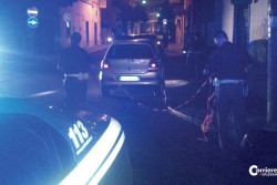 Colpi di arma da fuoco contro polleria. È la seconda volta - Corriere Salentino