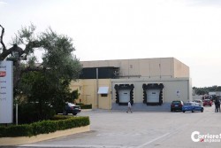 Morte nell’azienda: arrestato l'imprenditore Attilio Scarlino - Corriere Salentino