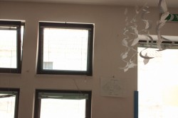 Capannoni pieni di eternit a due passi dalla scuola, scatta la diffida - Corriere Salentino