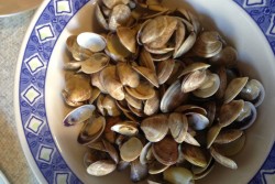 La ricetta del giorno di Pane amore e…Tanti chili: Paella - Corriere Salentino