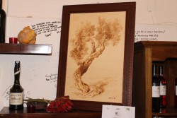 La creatività è stata la protagonista tra gli sguardi di Lecce nell’ambito delle Vetrine Creative di Think And Create Colors - Corriere Salentino