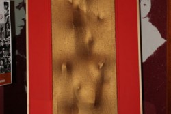 La creatività è stata la protagonista tra gli sguardi di Lecce nell’ambito delle Vetrine Creative di Think And Create Colors - Corriere Salentino