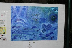 La creatività è stata la protagonista tra gli sguardi di Lecce nell’ambito delle Vetrine Creative di Think And Create Colors - Corriere Salentino