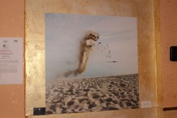 La creatività è stata la protagonista tra gli sguardi di Lecce nell’ambito delle Vetrine Creative di Think And Create Colors - Corriere Salentino