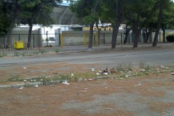 “Non di solo centro vive la città”. Sportello dei Diritti: degrado nella zona antistante lo stadio - Corriere Salentino
