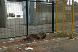 “Non di solo centro vive la città”. Sportello dei Diritti: degrado nella zona antistante lo stadio - Corriere Salentino