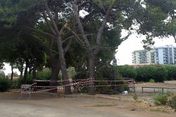 “Non di solo centro vive la città”. Sportello dei Diritti: degrado nella zona antistante lo stadio - Corriere Salentino