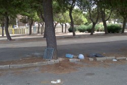 “Non di solo centro vive la città”. Sportello dei Diritti: degrado nella zona antistante lo stadio - Corriere Salentino