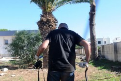 Raid notturno contro la Casa della Salute di Acquarica Del Capo - Corriere Salentino