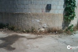 25enne in Rianimazione, vittima di auto pirata? - Corriere Salentino