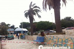 Cade un ramo da una palma e sfiora famiglia, tanta paura - Corriere Salentino