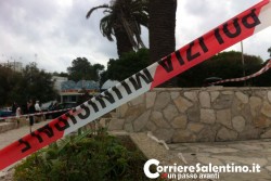 Cade un ramo da una palma e sfiora famiglia, tanta paura - Corriere Salentino