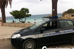 Cade un ramo da una palma e sfiora famiglia, tanta paura - Corriere Salentino