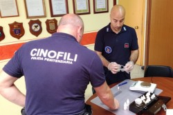 Cocaina in carcere per il marito: moglie arrestata, lui denunciato - Corriere Salentino