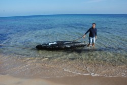 Operazione antidroga. La polizia sequestra oltre 360 kg di marijuana - Corriere Salentino