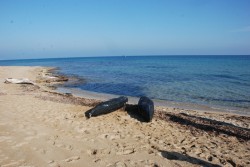 Operazione antidroga. La polizia sequestra oltre 360 kg di marijuana - Corriere Salentino