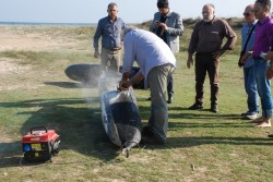 Operazione antidroga. La polizia sequestra oltre 360 kg di marijuana - Corriere Salentino