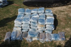 Operazione antidroga. La polizia sequestra oltre 360 kg di marijuana - Corriere Salentino