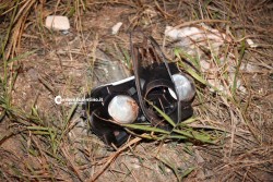 Si schianta con la moto contro la rotatoria, grave 41enne - Corriere Salentino