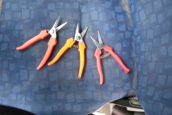 In trasferta nel barese per rubare chili di uva: tre salentini ai domiciliari - Corriere Salentino