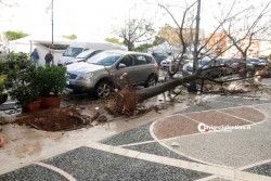 Tromba d’aria si abbatte su Gallipoli, danni ingenti - Corriere Salentino