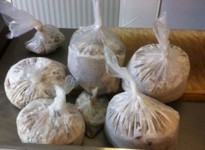 foto-POLIZIA-MARITTIMA