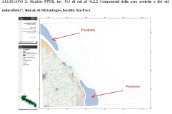 Il PPTR e il mistero della posidonia scomparsa - Corriere Salentino