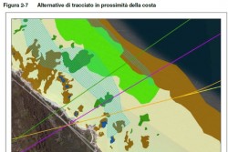 Il PPTR e il mistero della posidonia scomparsa - Corriere Salentino