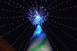 Il primo albero di Natale ecosostenibile di Monteroni - Corriere Salentino