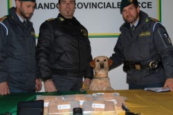 Da Milano nel Salento, con un carico di eroina nascosta in auto: arrestato 22enne - Corriere Salentino