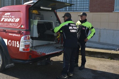 vigili del fuoco cinofili